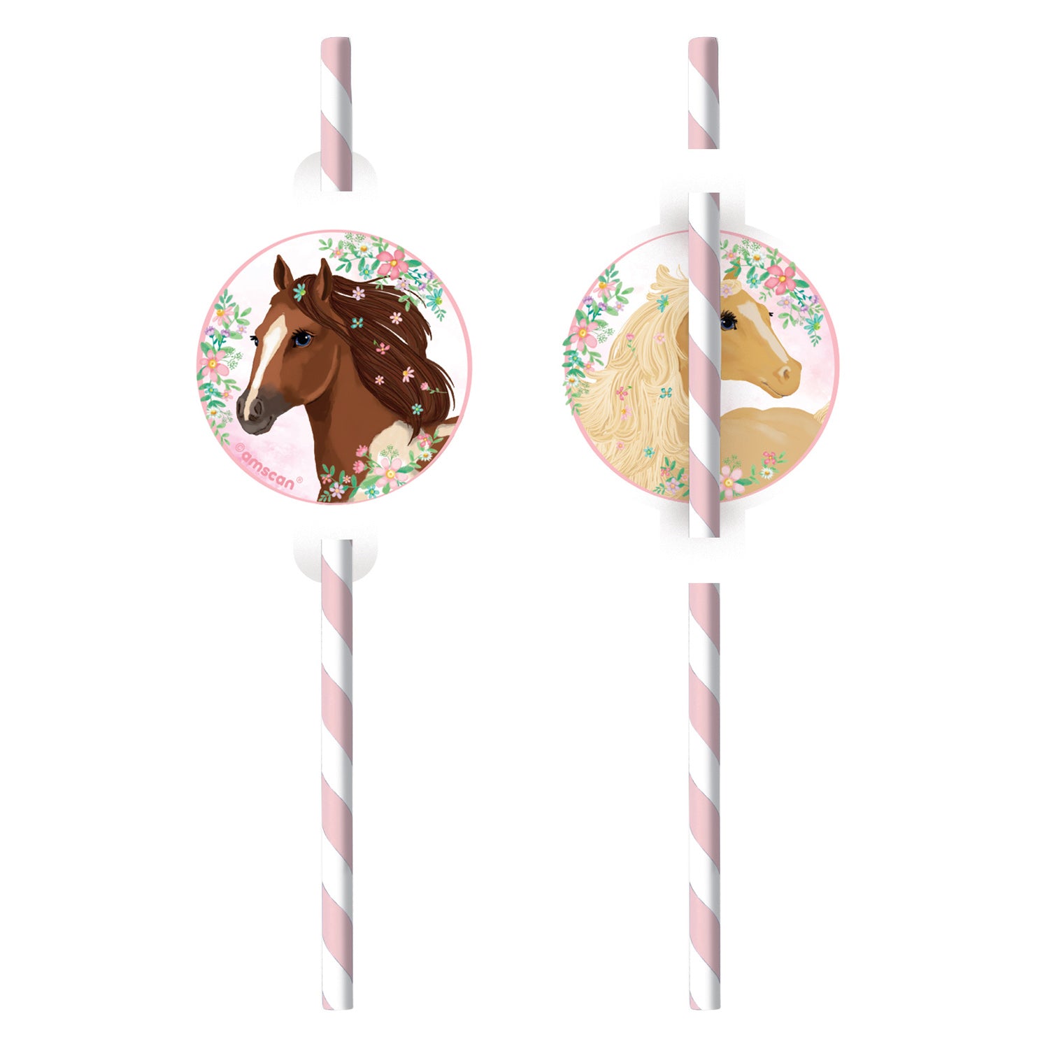 Paarden rietjes (set van 8)