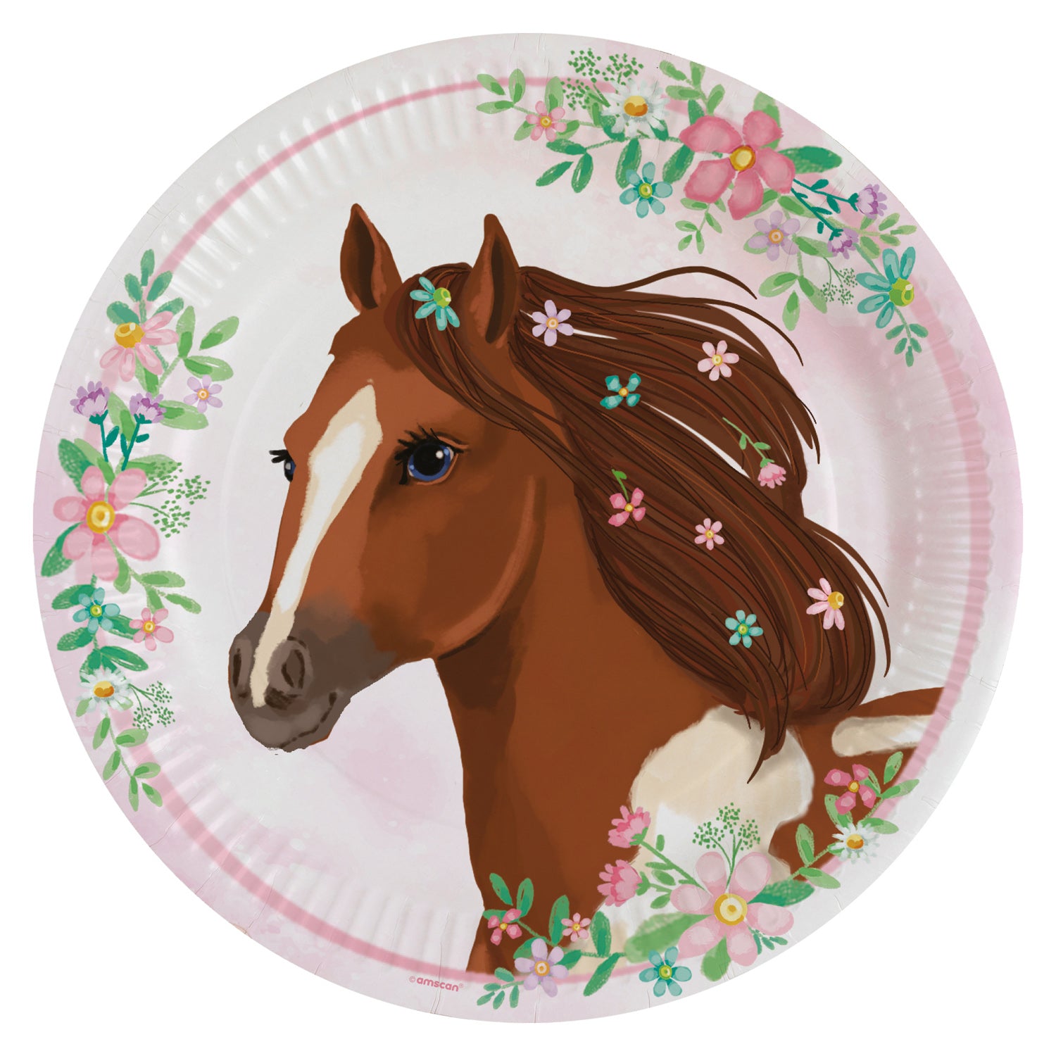 Mooie paarden borden (8x)
