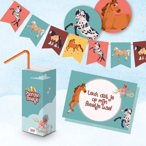Paarden feestje (4-7 jaar)