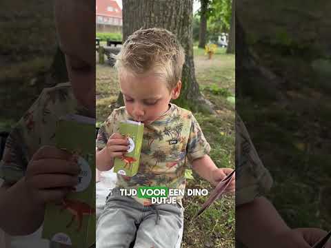 Dinosaurus kinderfeestje (4-7 jaar)